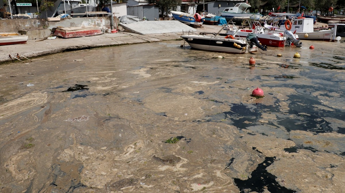 Kocaeli'nin Körfez ilçesindeki balıkçı barınağında denizde oluşan köpüksü tabakanın temizlenmesi...