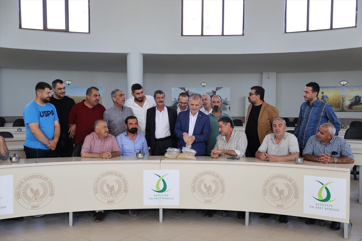 Mardin'in Kızıltepe ilçesinde arpa hasadına başlandı. Kırsal Aktulga Mahallesi'nde çiftçi Mehmet...