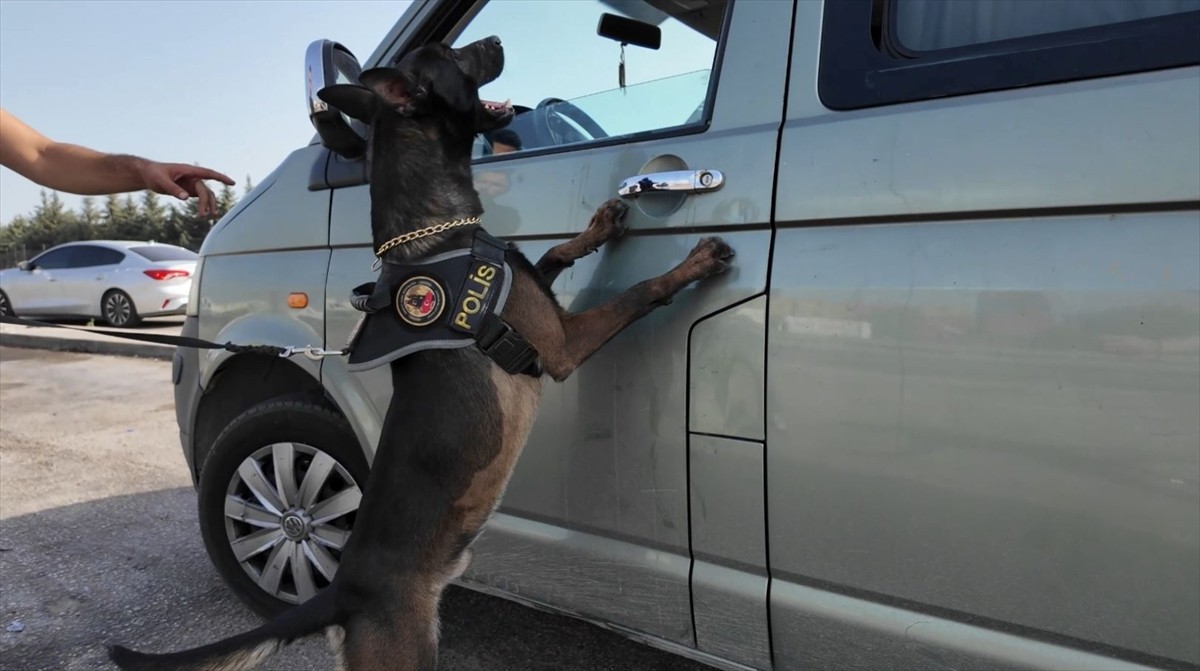 Mersin'de düzenlenen operasyonda 387 bin 464 uyuşturucu hap ele geçirildi.