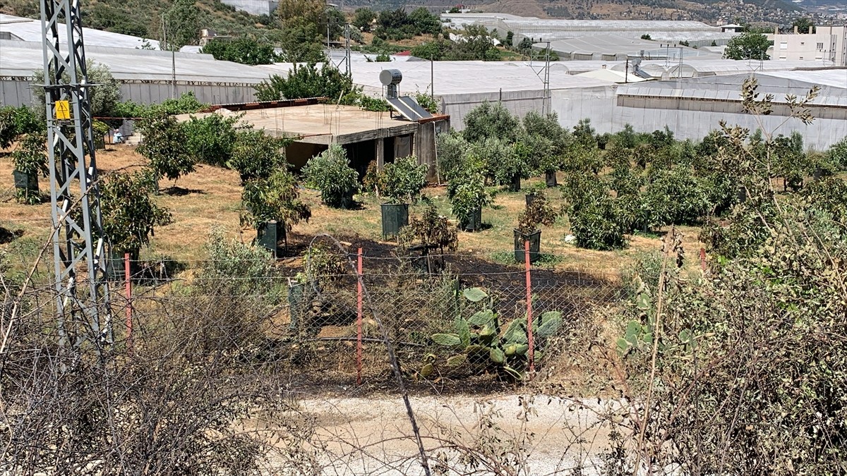 Mersin'in Anamur ilçesinde zirai alanda çıkan yangın ormana yayılmadan söndürüldü.