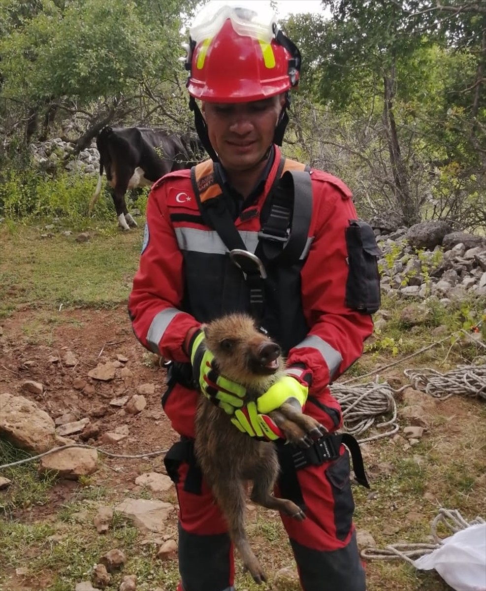 Muğla'da sulama kanalına düşen köpek ve kuyuya düşen domuz yavrusu itfaiye ekiplerince kurtarıldı....