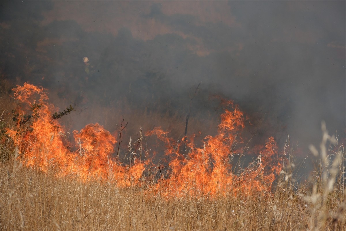Muğla'nın Bodrum ilçesinde otluk alanda çıkan yangın söndürüldü.