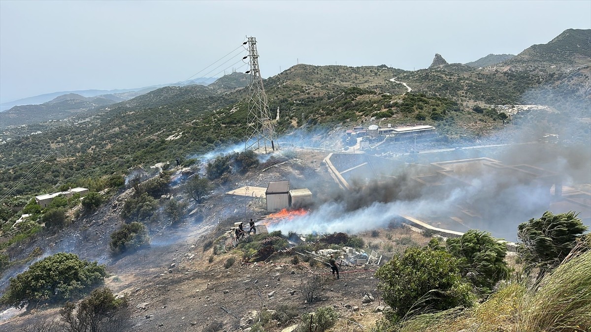Muğla'nın Bodrum ilçesinde, yerleşim yeri yakınlarında çıkan yangına itfaiye ekipleri müdahale...