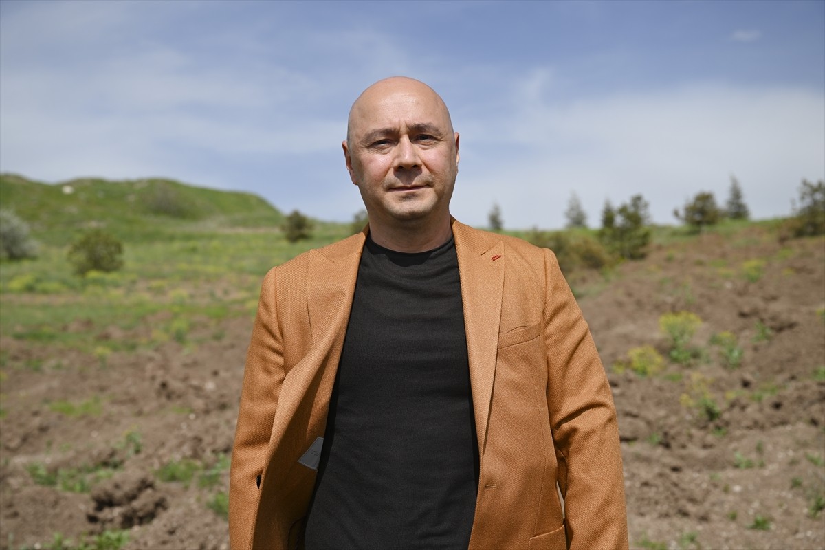 Mülkiyeliler Birliği üyeleri, şiddete uğrayan kadınlar anısına başkentte 2 bin fidan dikti. Ankara...