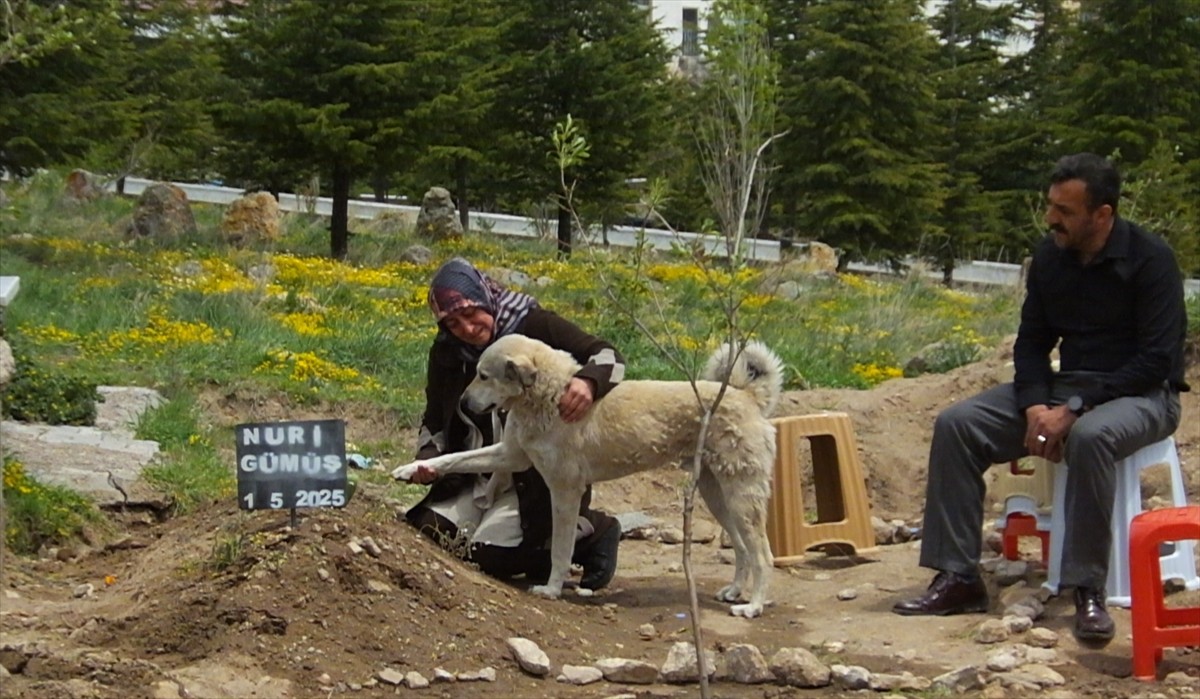 Nevşehir'in Derinkuyu ilçesinde "Garip" adlı köpek, 1 Mayıs'ta cenazesi toprağa verilen sahibi...