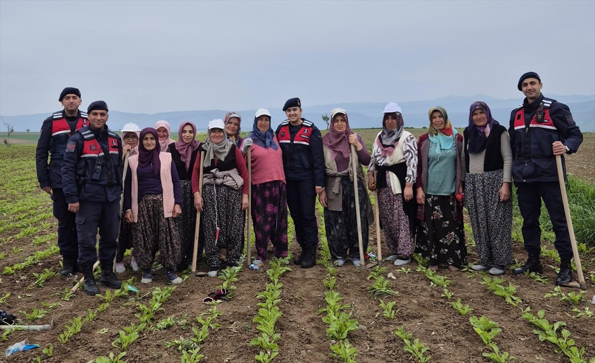 Samsun'un Vezirköprü ilçesinde jandarma ekipleri, tarlada çalışan kadınların 1 Mayıs Emek ve...