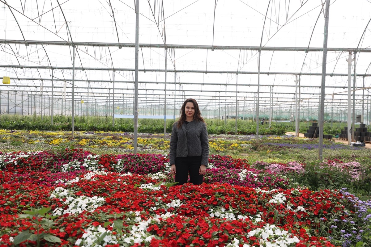 Sera ortamında yaş sebze üretimi yapan Tarım Orman Gençlik Konseyi Üyesi Elif Erüst, rengi ve...