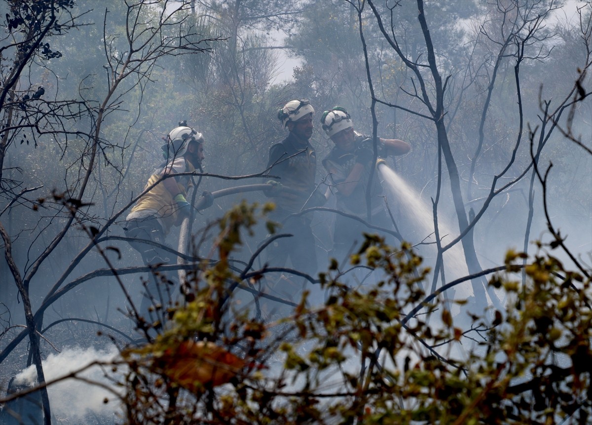 Suriye'nin Lazkiye iline bağlı Bayırbucak bölgesinin Şeren köyü yakınlarında ormanlık alanda çıkan...