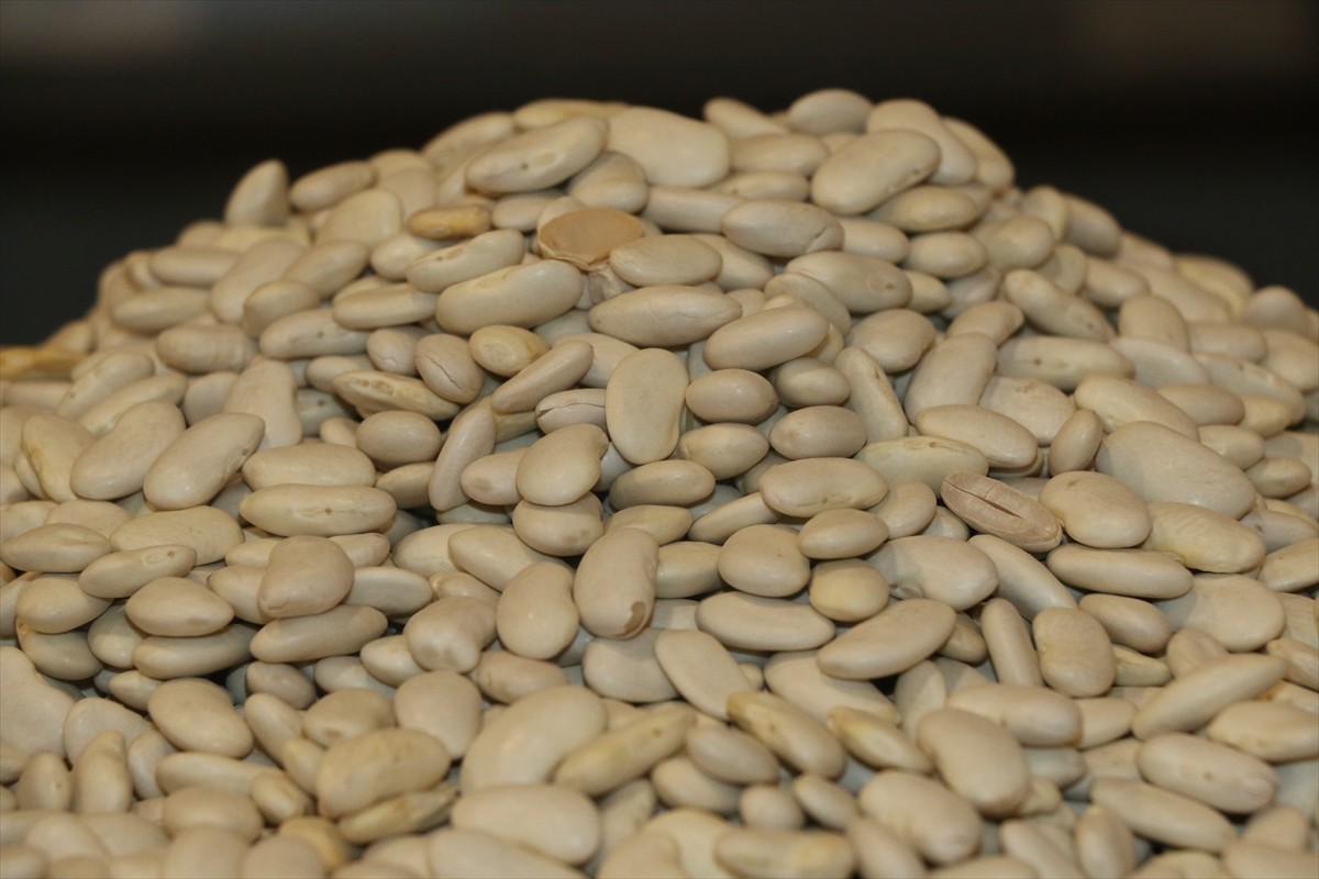 Türk gıda ürünlerine talep yılın ilk 4 ayında miktar bazında yüzde 5, değerde ise yüzde 5,5 arttı....