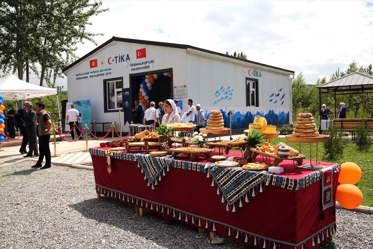 Türk İşbirliği Koordinasyon Ajansı (TİKA), Kırgızistan'ın güneyindeki Oş Bölgesi'ndeki Özgen...