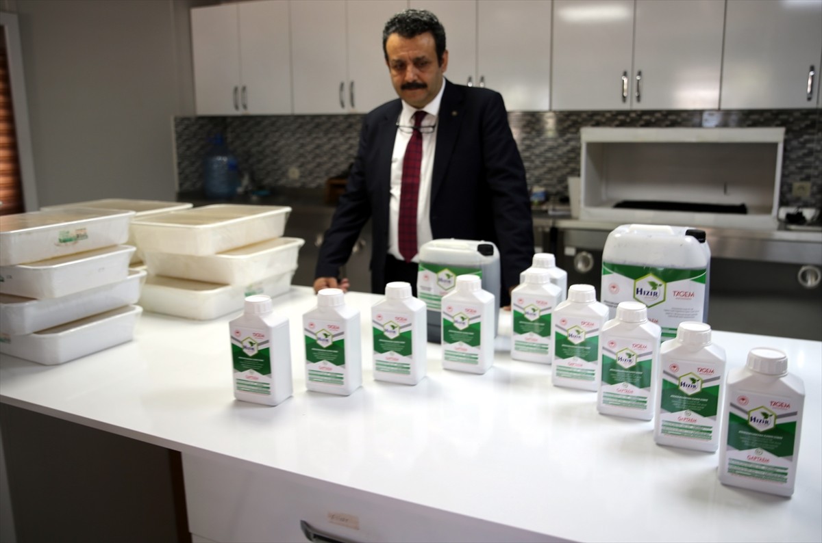 Türkiye'nin önemli tarımsal üretim merkezlerinden Şanlıurfa'da, GAP Tarımsal Araştırmalar...