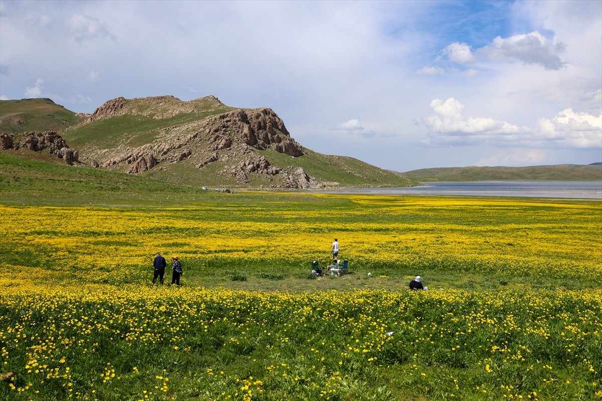 Van'ın Gürpınar ilçesinde Erek Dağı eteklerinde bulunan ve çevresi sarı çiçeklerle bezenen 2 bin...