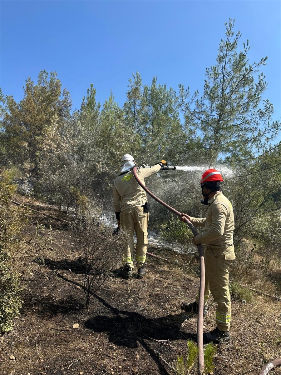 Adana'nın İmamoğlu ilçesinde çıkan orman yangına havadan ve karadan müdahale edildi.