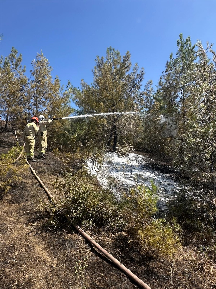 Adana'nın İmamoğlu ilçesinde çıkan orman yangına havadan ve karadan müdahale edildi.