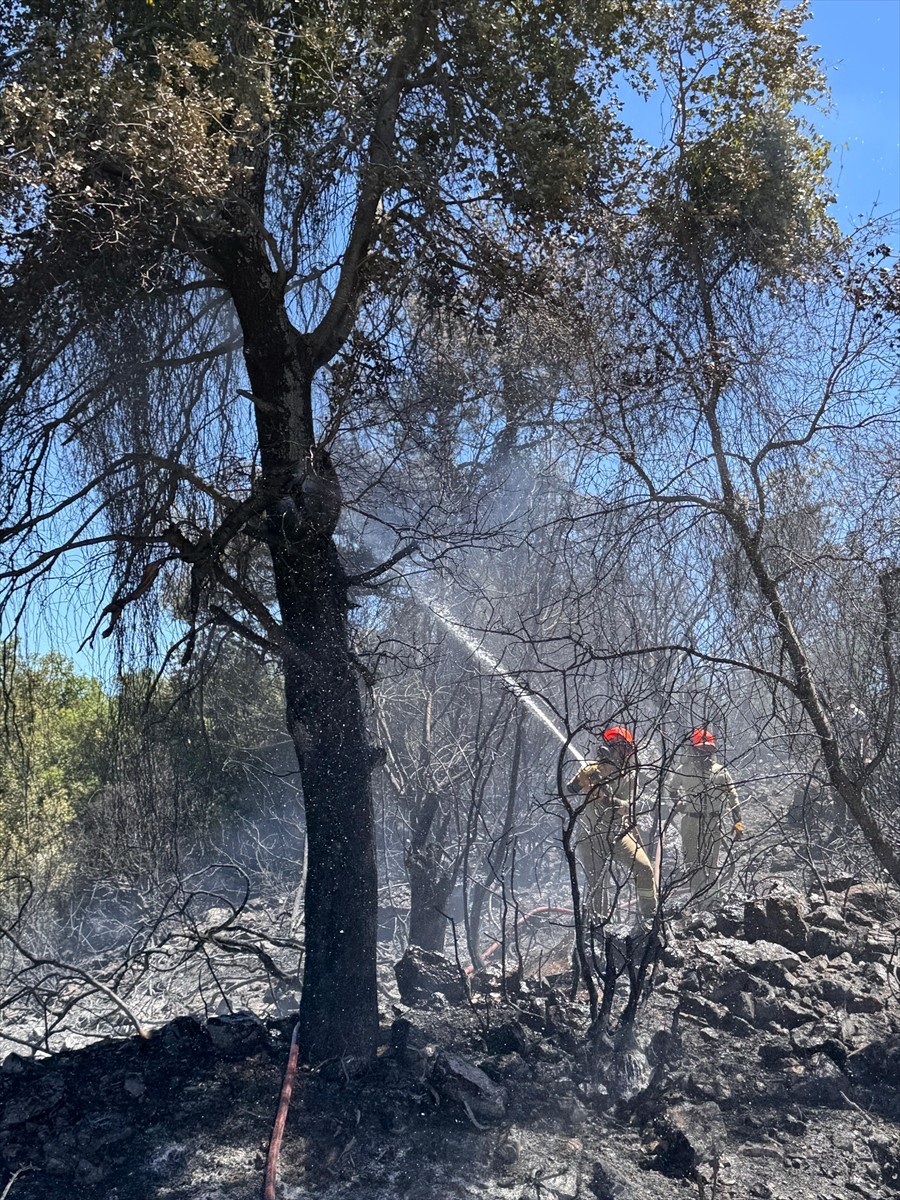 Adana'nın Kozan ilçesinde ormanlık alanda çıkan yangın havadan ve karadan müdahaleyle kontrol...