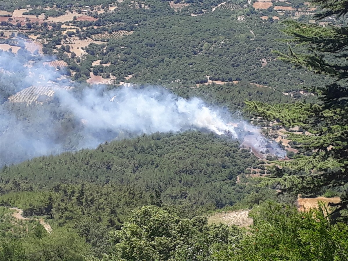 Adana'nın Kozan ilçesinde ormanlık alanda çıkan yangın havadan ve karadan müdahaleyle kontrol...