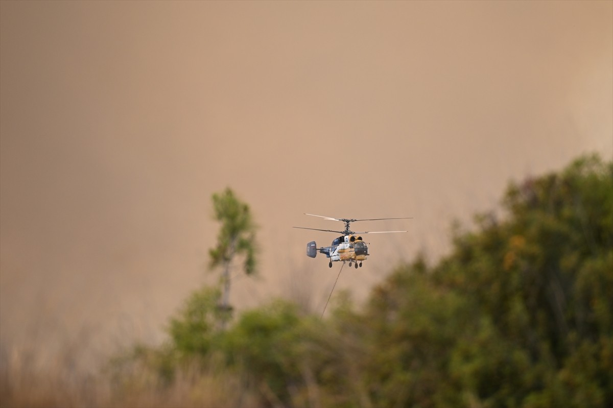 Adana'nın merkez Çukurova ilçesinde çıkan orman yangını havadan ve karadan müdahaleyle kontrol...