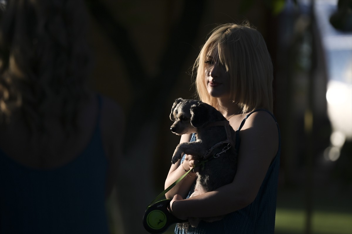 Ankara'da, kaza, doğal afet ve şiddet gibi nedenlerden dolayı engelli olan kedi ve köpekler...