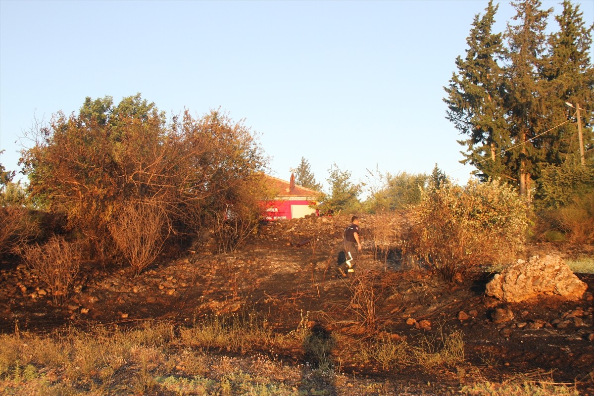 Antalya'nın Serik ilçesinde Aspendos Antik Kenti su kemerlerinin yakınındaki otluk ve çalılık...