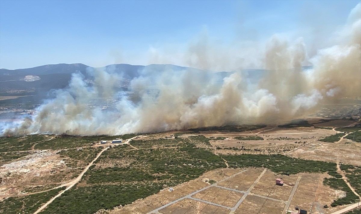 Aydın'ın Didim ilçesinde makilik alanda çıkan yangına havadan ve karadan müdahale ediliyor.