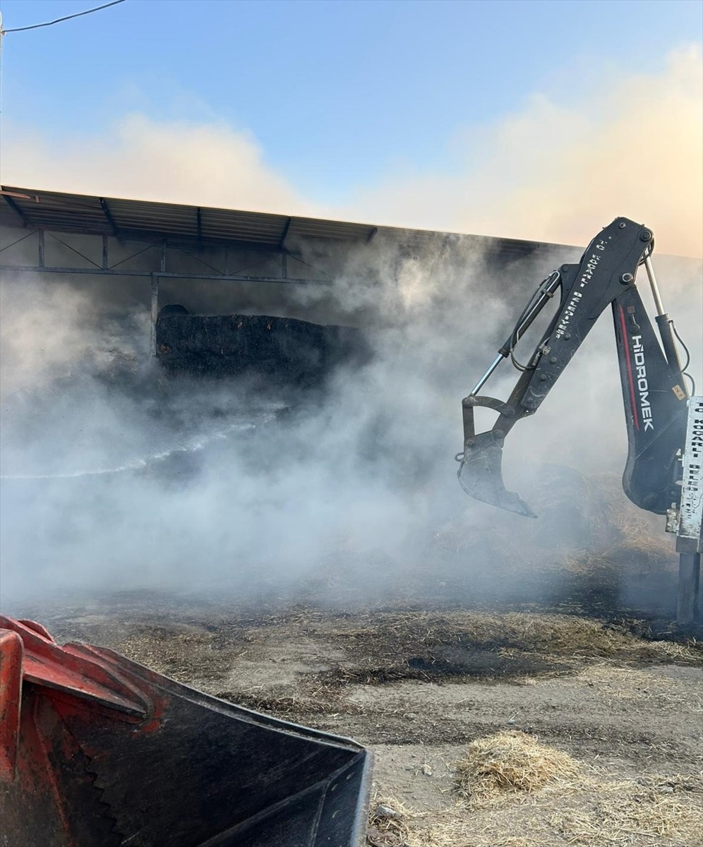 Aydın'ın Koçarlı ilçesinde çiftlikte çıkan yangında 4 hayvan telef oldu, 150 ton saman...