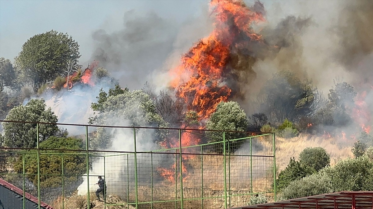 Aydın'ın Söke ilçesinde Yenikent Mahallesi'nde tarım arazisinde henüz belirlenemeyen nedenle...