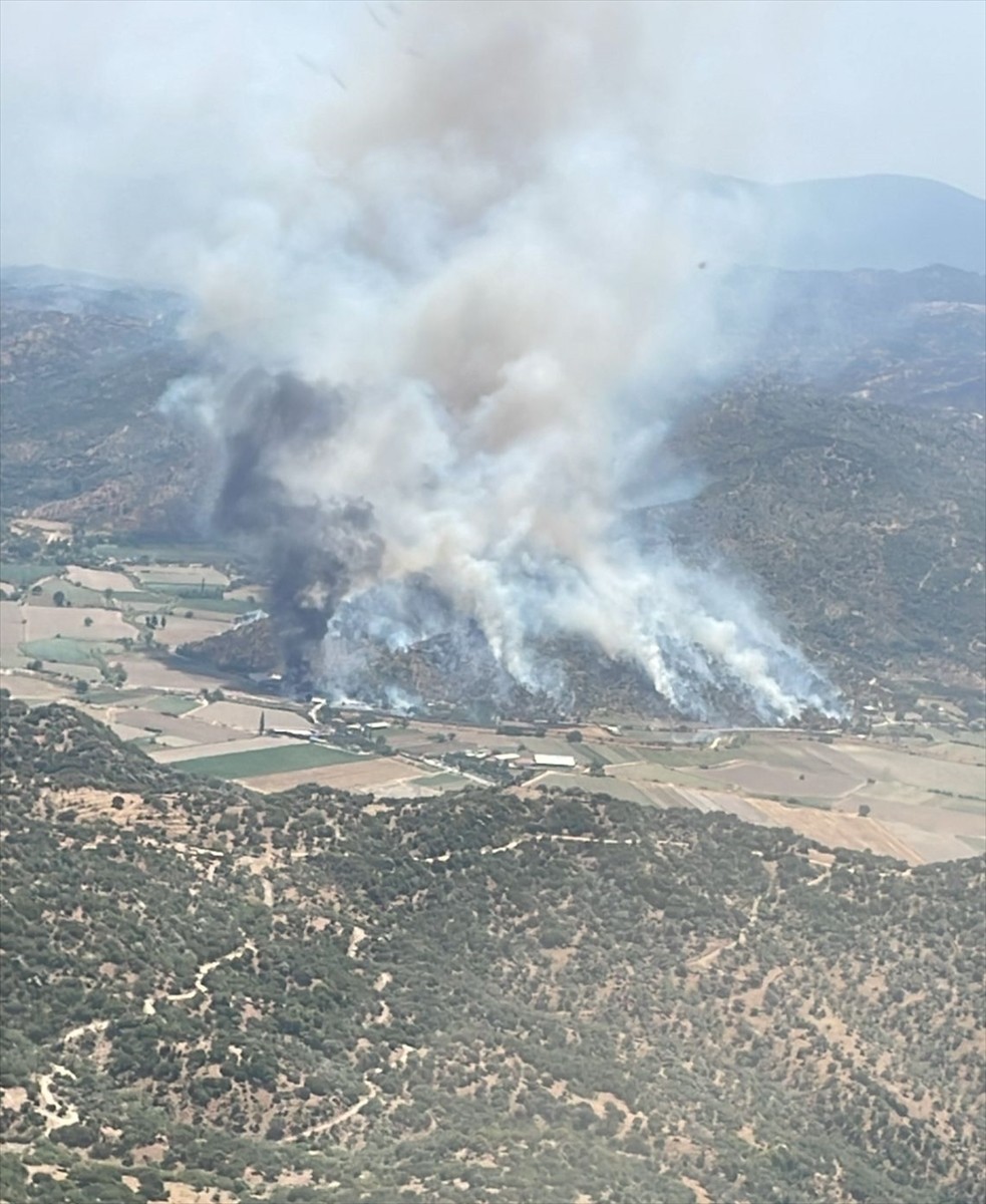 Aydın'ın Söke ilçesinde zeytin ağaçlarının bulunduğu alanda çıkan yangına havadan ve karadan...