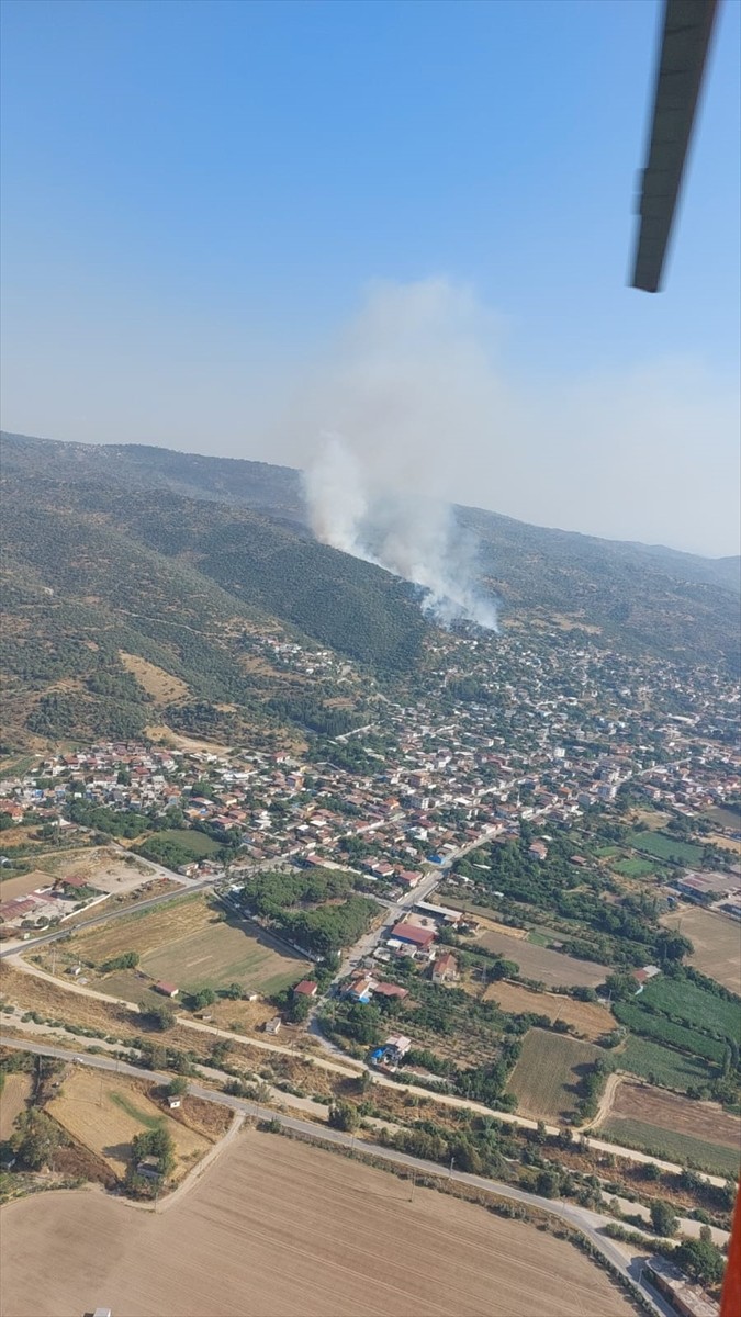 Aydın'ın Söke ilçesinde ziraat alanında çıkan yangına havadan ve karadan müdahale ediliyor.