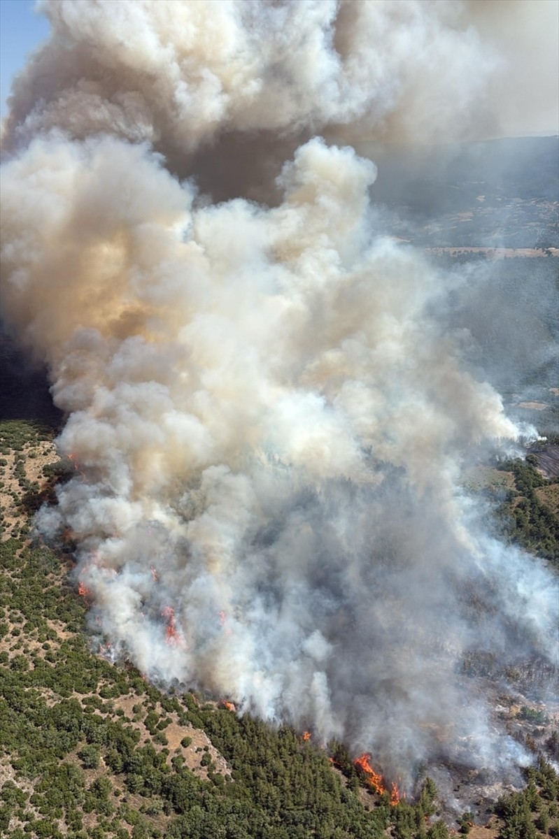 Balıkesir'in Kepsut ilçesinde çıkan orman yangınına, havadan ve karadan müdahale ediliyor.