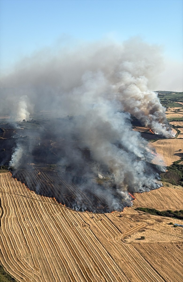  Balıkesir'in Susurluk ilçesinde, arazide çıkan yangın, havadan ve karadan müdahaleyle kontrol...