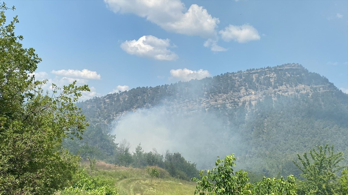 Bilecik'in Gölpazarı ilçesinde çıkan orman yangını ekiplerin müdahalesiyle söndürüldü.