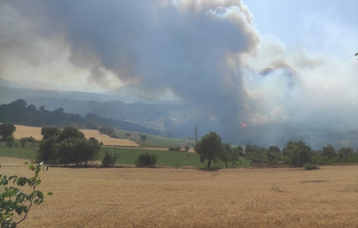 Bilecik'in Gölpazarı ilçesinde çıkan orman yangını, havadan ve karadan müdahaleyle kontrol altına...