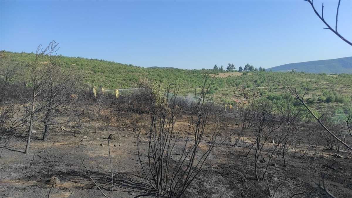 Bilecik'in Osmaneli ilçesinde çıkan yangında yaklaşık 5 dönüm buğday tarlası ve 2 hektarlık...