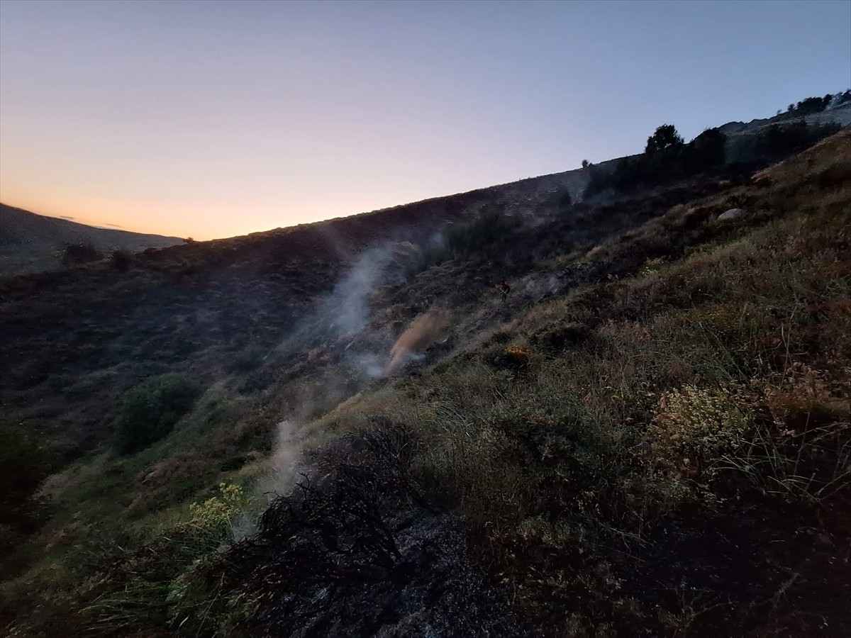 Bingöl'ün Genç ilçesinde ormanlık alanda çıkan yangın kontrol altına alındı.