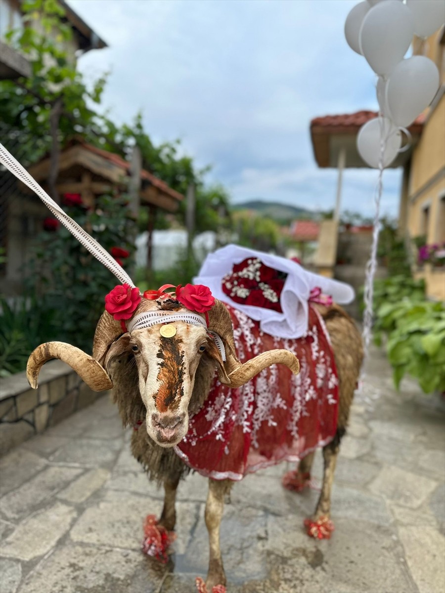 Bulgaristan'da Kırcaali şehrinin Koşukavak (Krumovgrad) ilçesinde Kurban Bayramı öncesi nişanlı...