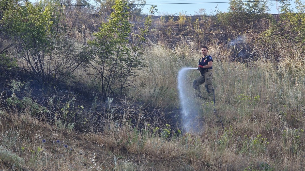 Bursa'nın İnegöl ilçesinde otluk alanda başlayan ve daha sonra buğday tarlasına sıçrayan yangın...