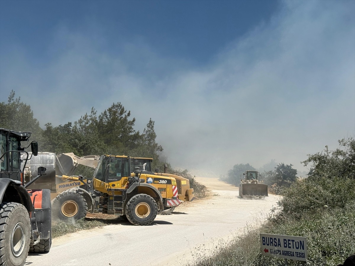 Bursa'nın Nilüfer ilçesinde çıkan orman yangınına havadan ve karadan müdahale ediliyor.