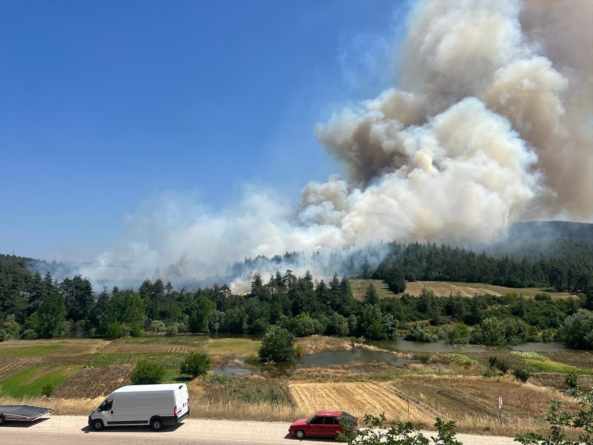 Bursa'nın Orhaneli ilçesinde anızda başlayan daha sonra ormanlık alana sıçrayan yangına, havadan...