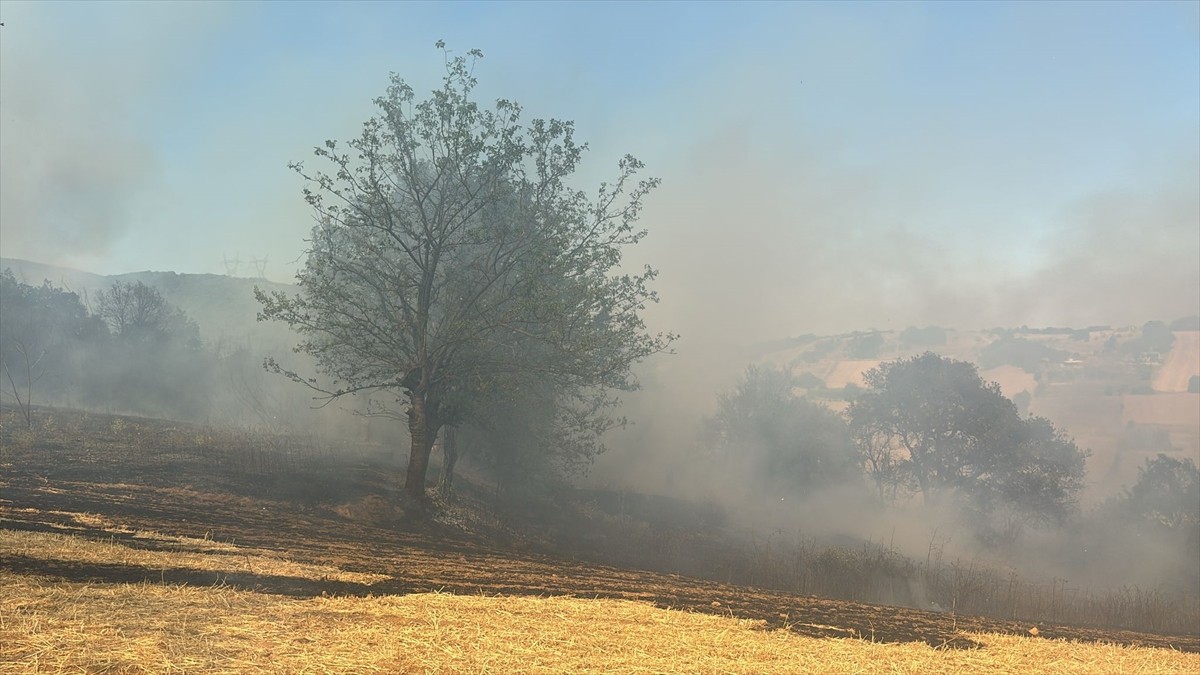 Bursa'nın Orhangazi ve Kestel ilçelerinde iki ayrı ormanlık alanda çıkan yangına müdahale...
