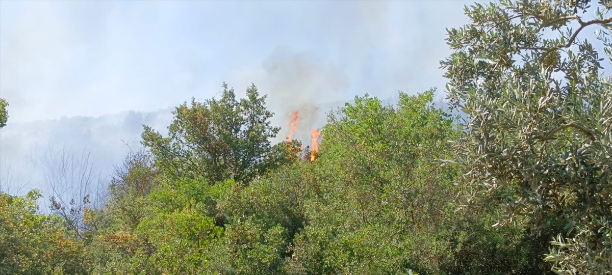 Bursa'nın Orhangazi ve Kestel ilçelerinde iki ayrı ormanlık alanda çıkan yangına müdahale...