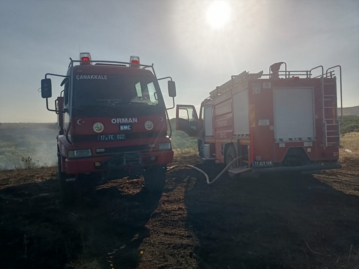 Çanakkale'nin Gelibolu ilçesinde çıkan yangında, 100 dönüm buğday ekili alan ve 150 dönüm makilik...