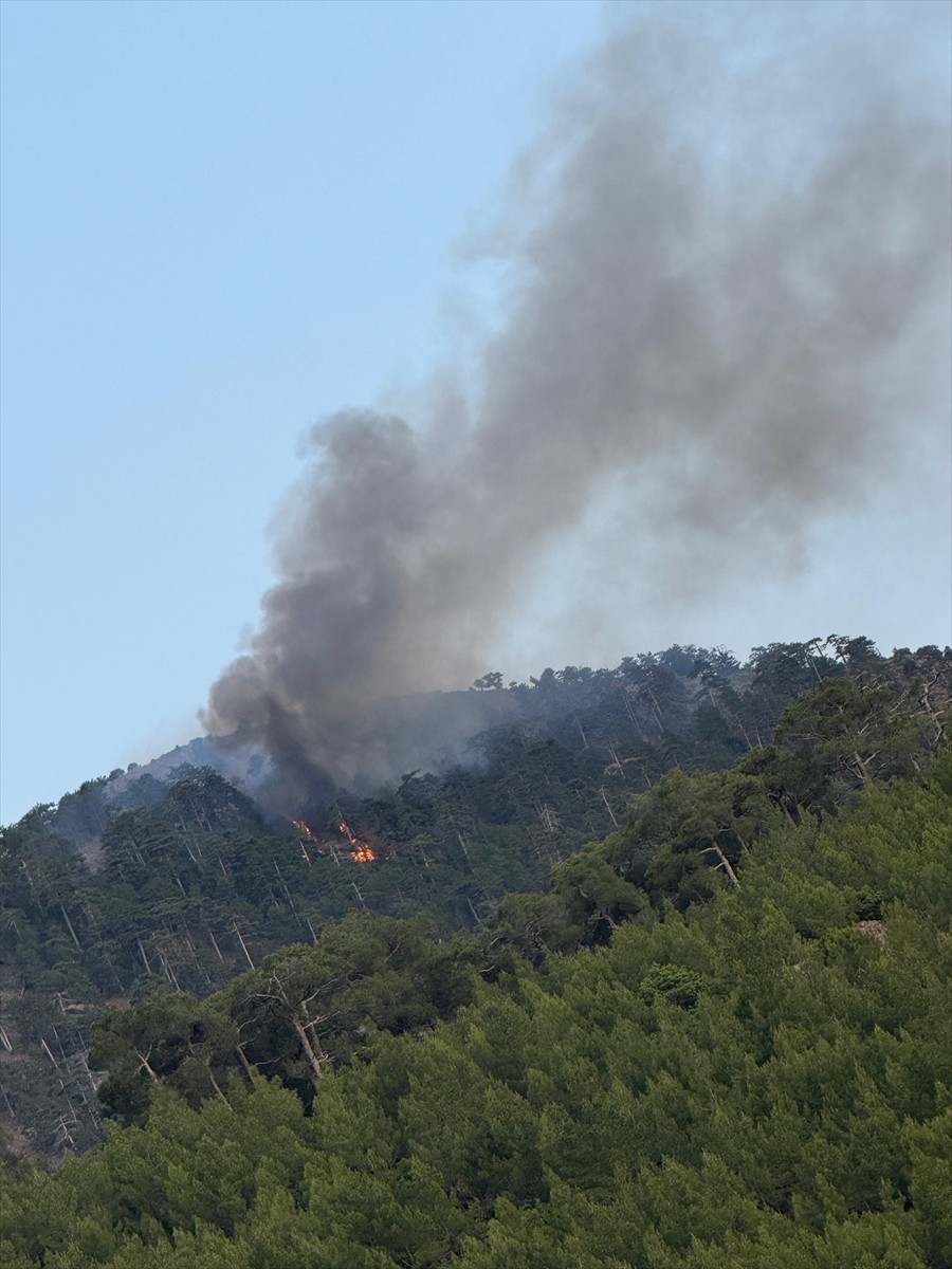 Denizli'nin Beyağaç ilçesinde çıkan orman yangını ekiplerin müdahalesiyle söndürüldü.