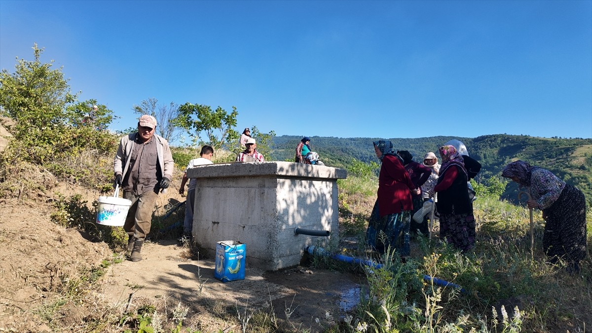 Düzce'nin Yığılca ilçesinde çıkan örtü yangını, ekiplerin ve vatandaşların müdahalesiyle kontrol...