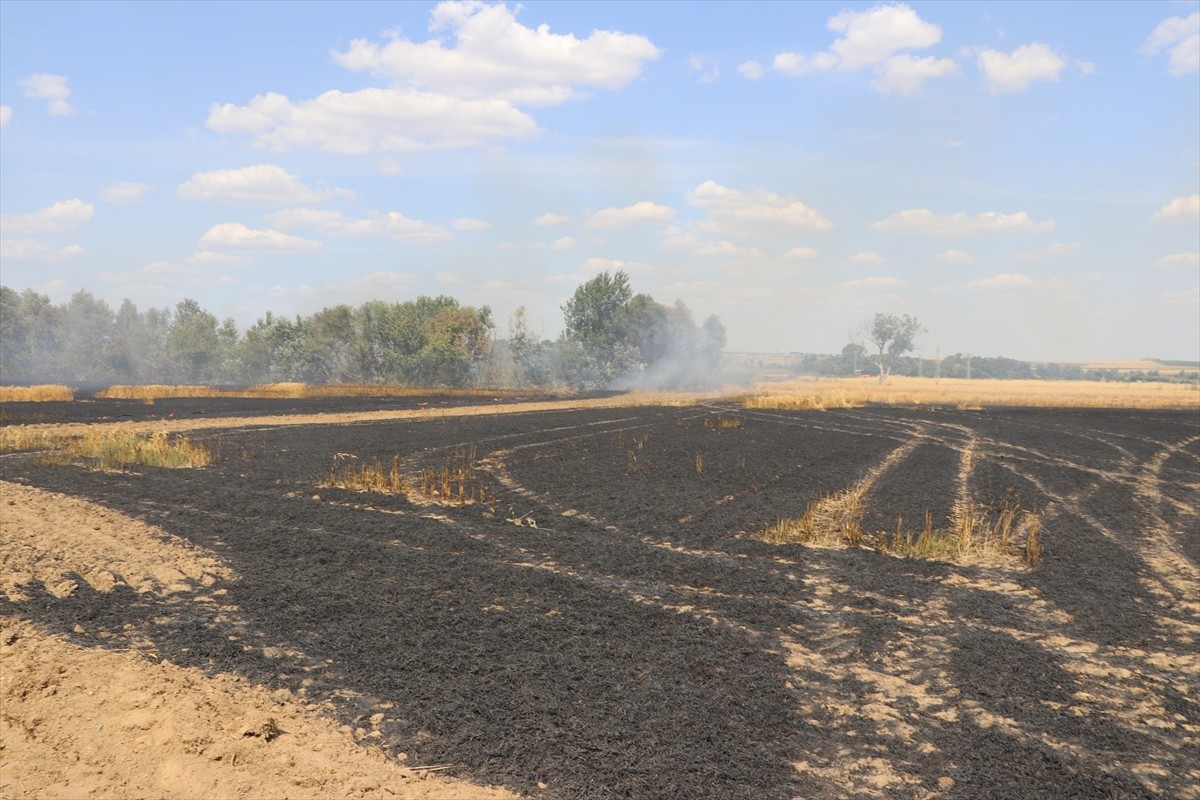 Edirne'de buğday ekili bir tarlada çıkan yangında 10 dekarlık alan zarar gördü.