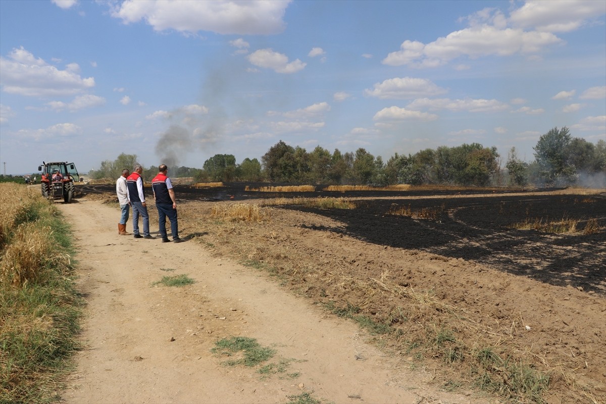 Edirne'de buğday ekili bir tarlada çıkan yangında 10 dekarlık alan zarar gördü.