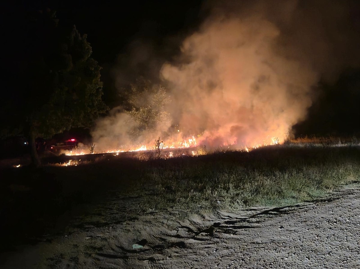 Edirne'de Tunca Nehri kenarındaki otluk alanda çıkan yangın, itfaiye ekiplerinin müdahalesiyle...
