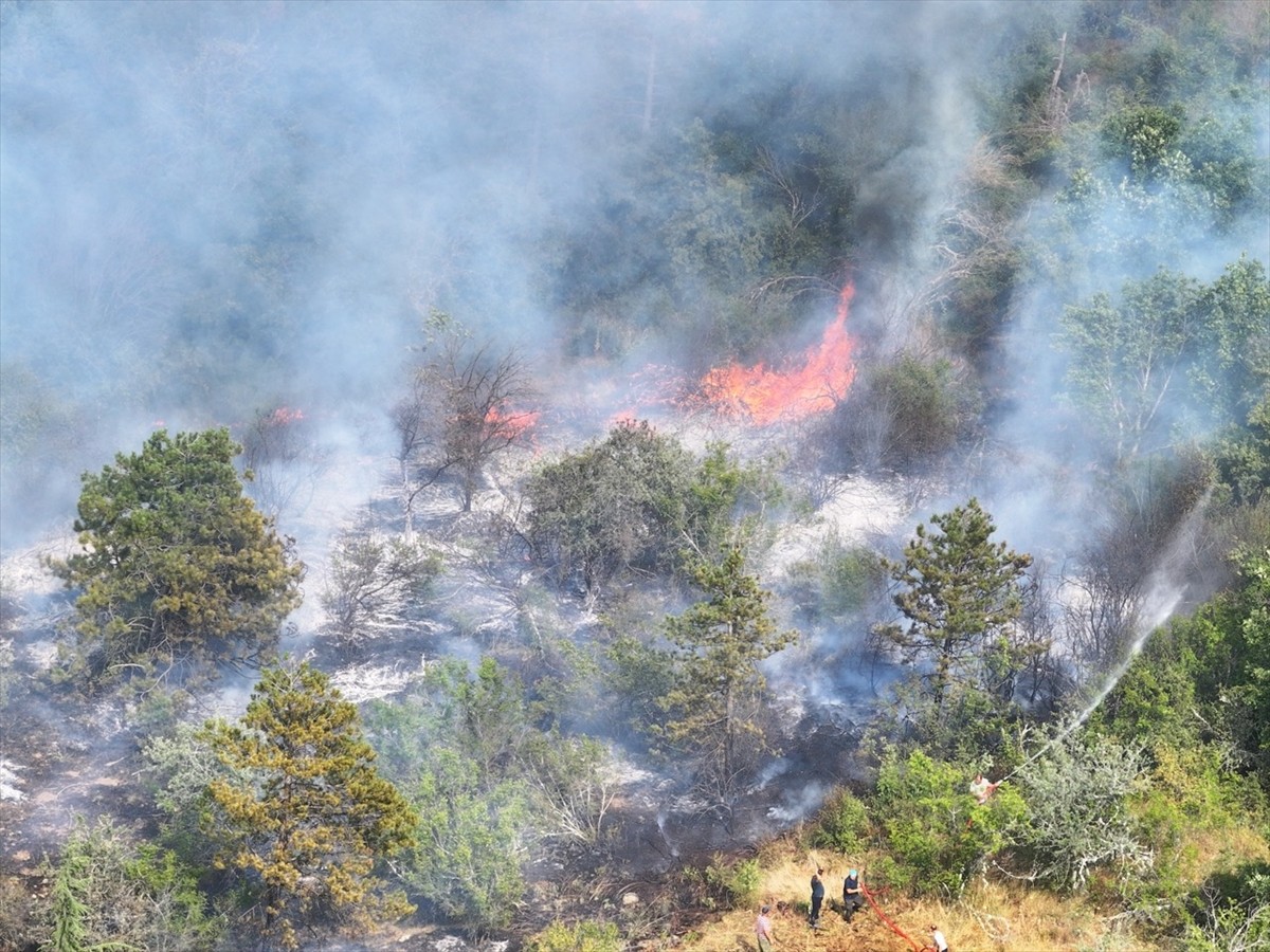Edirne'nin Lalapaşa ilçesinde çıkan orman yangınına havadan ve karadan müdahale ediliyor.