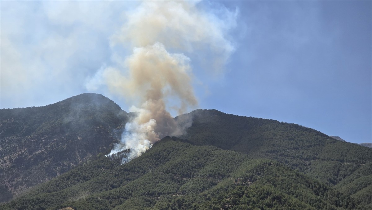 Hatay'ın Hassa ilçesinde ormanlık alanda çıkan yangına havadan ve karadan müdahale ediliyor.