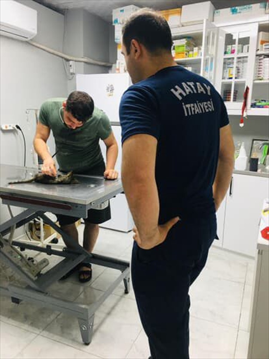 Hatay'ın İskenderun ilçesinde itfaiye ekibi, sıkıştığı konteynerden kurtarılan ancak kalbi duran...