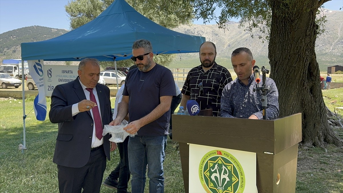 Isparta'da küçükbaş hayvan yetiştiricilerine sürülerini korumak ve sürü yönetimini güçlendirmek...